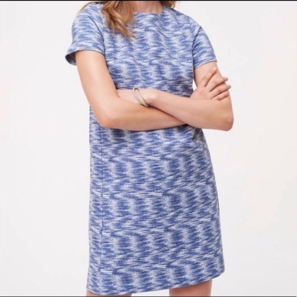 [Loft] Classic Blue Shirt Dress - Picture 4 of 5
